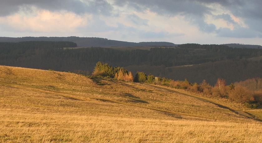 Dürbaum * Schleiden