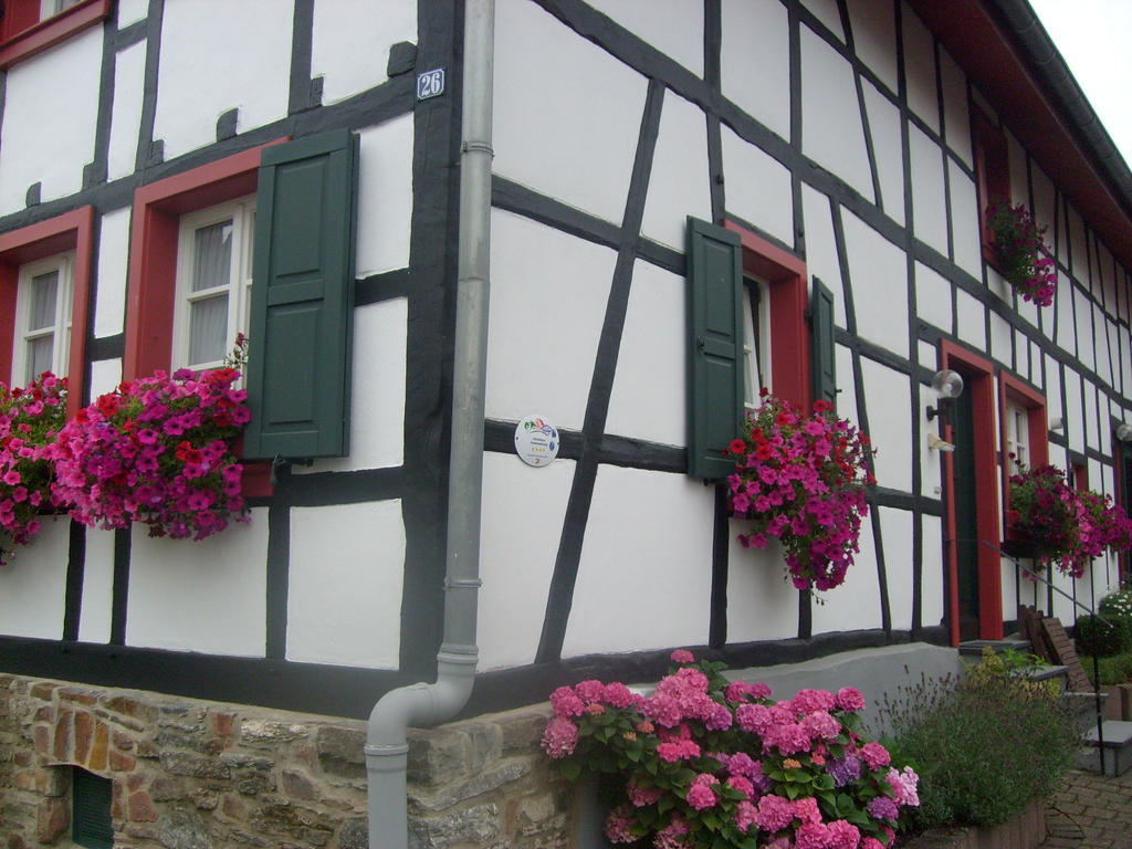 Apartment Dürbaum *
